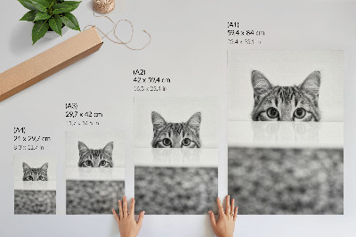 Póster Gato tras la superficie, minimalismo en blanco y negro