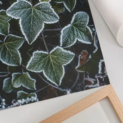 Póster de hojas verdes con escarcha diseño con colores saturados y bordes blancos