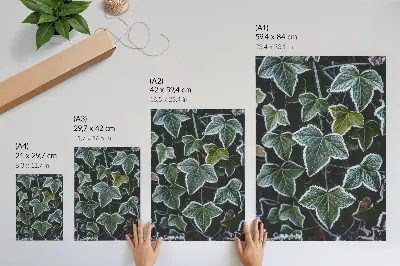 Póster de hojas verdes con escarcha diseño con colores saturados y bordes blancos