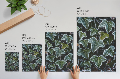 Póster con colores saturados Hojas verdes con escarcha blanca en los bordes.