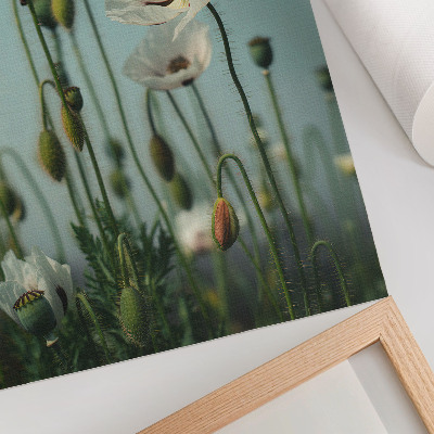 Póster Amapolas en flor bajo un cielo azul