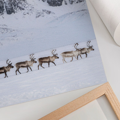 Lámina artística de alta calidad con diseño de renos frente a un paisaje montañoso invernal