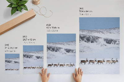 Lámina artística de alta calidad con diseño de renos frente a un paisaje montañoso invernal