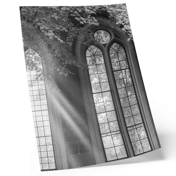 Póster de ventanas góticas antiguas con luz, hojas y atmósfera de misterio en colores saturados