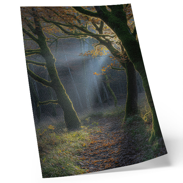 Póster Bosque mágico, luz otoñal, ambiente tranquilo