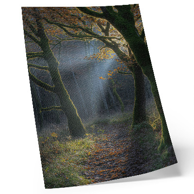 Póster Bosque mágico, luz otoñal, ambiente tranquilo