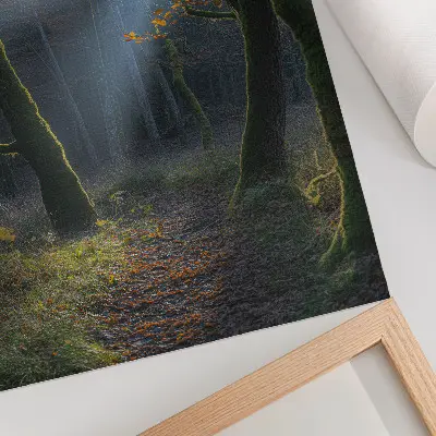 Póster bosque mágico con luz otoñal y ambiente tranquilo