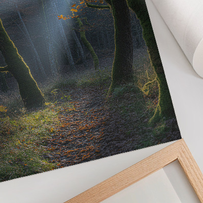 Póster Bosque mágico, luz otoñal, ambiente tranquilo