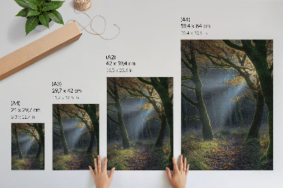 Póster Bosque mágico, luz otoñal, ambiente tranquilo