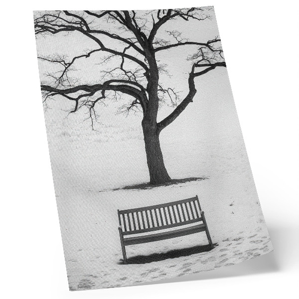 Lienzo decorativo moderno Paisaje minimalista con un árbol y un banco.