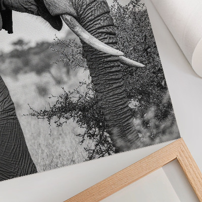 Póster de elefante primer plano con texturas de belleza natural