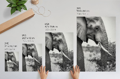 Póster de elefante primer plano con texturas de belleza natural