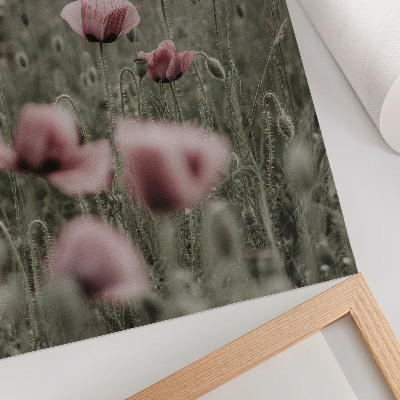 Lámina artística de alta calidad Amapolas en tonos pastel, ambiente romántico, flores delicadas