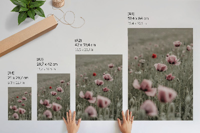 Lámina artística de alta calidad Amapolas en tonos pastel, ambiente romántico, flores delicadas