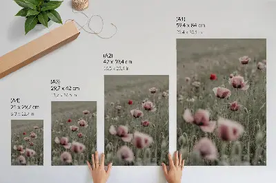 Lámina artística de amapolas en tonos pastel con diseño de flores delicadas y ambiente romántico