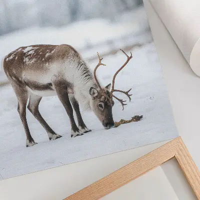 Lienzo decorativo moderno renos en la nieve con diseño natural y elegante