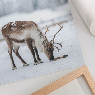 Lienzo decorativo moderno Renos en la nieve, naturaleza, paz, elegancia
