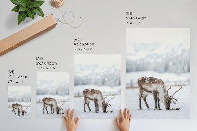 Lienzo decorativo moderno Renos en la nieve, naturaleza, paz, elegancia
