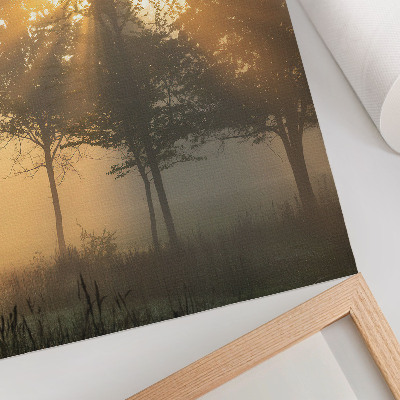 Lienzo decorativo moderno Amanecer brumoso, luz cálida, árboles, inspiración