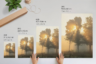 Lienzo decorativo moderno Amanecer brumoso, luz cálida, árboles, inspiración