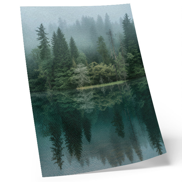 Póster con colores saturados Reflejo de la niebla en el agua, en las profundidades del bosque verde