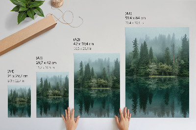 Póster con colores saturados Reflejo de la niebla en el agua, en las profundidades del bosque verde