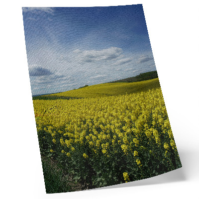 Póster con colores saturados Campos amarillos que contrastan con el cielo azul