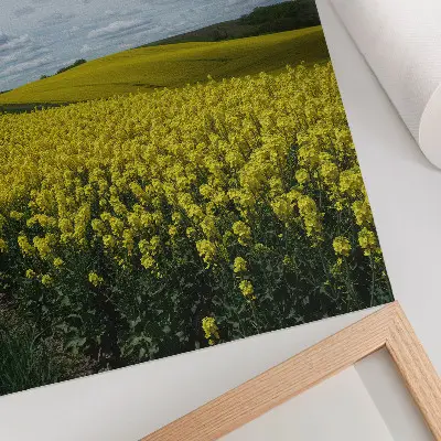 Póster de campos amarillos con colores saturados que contrastan con el cielo azul