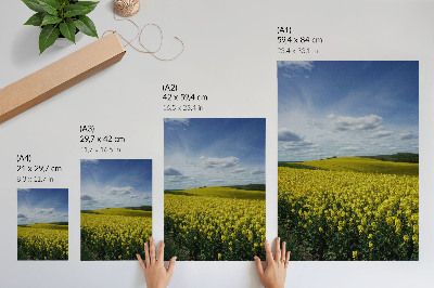 Póster con colores saturados Campos amarillos que contrastan con el cielo azul