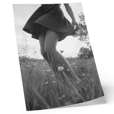Póster Una fotografía en blanco y negro de un prado lleno de armonía y paz.