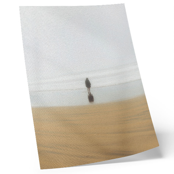 Póster Minimalismo, paz, soledad, playa, reflexión, agua