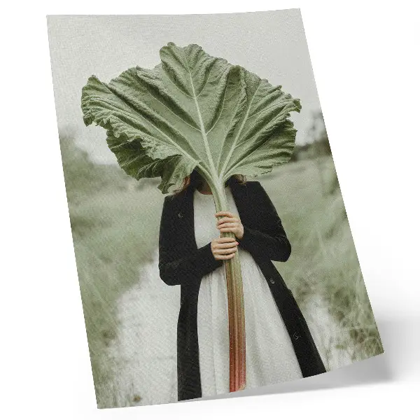 Póster El misterio de la naturaleza: hoja y figura con colores saturados