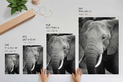 Lámina artística de alta calidad primer plano de un elefante que transmite paz y fuerza