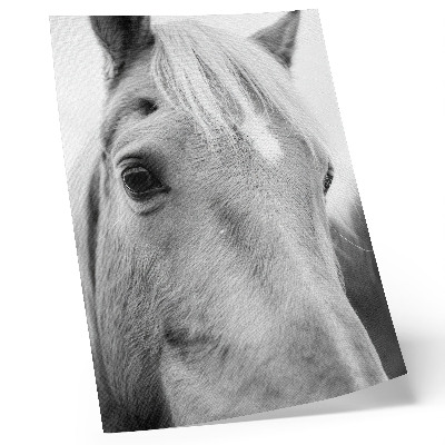 Lámina artística de alta calidad Horse Eye con diseño de elegancia en blanco y negro