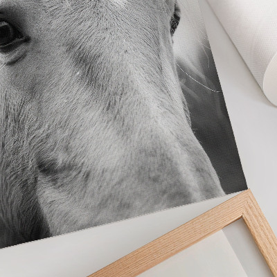 Lámina artística de alta calidad Horse Eye con diseño de elegancia en blanco y negro