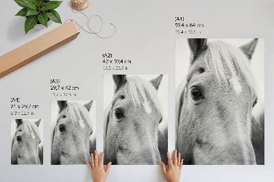 Lámina artística de alta calidad Horse Eye con diseño de elegancia en blanco y negro