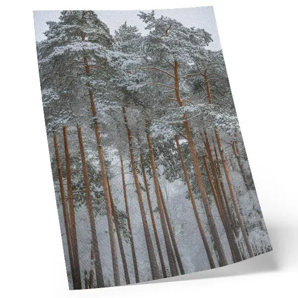 Lámina artística de alta calidad bosque invernal con nieve y árboles en un entorno de paz y armonía natural