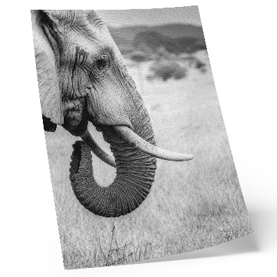 Lienzo decorativo moderno retrato de un elefante en blanco y negro