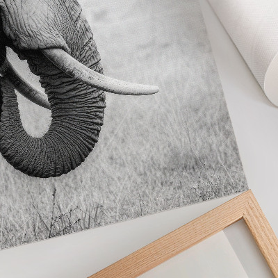 Lienzo decorativo moderno retrato de un elefante en blanco y negro