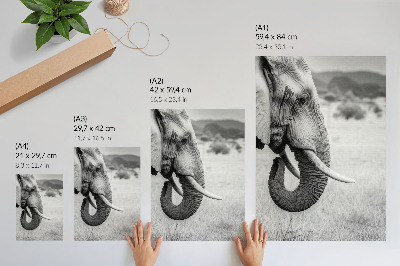 Lienzo decorativo moderno retrato de un elefante en blanco y negro