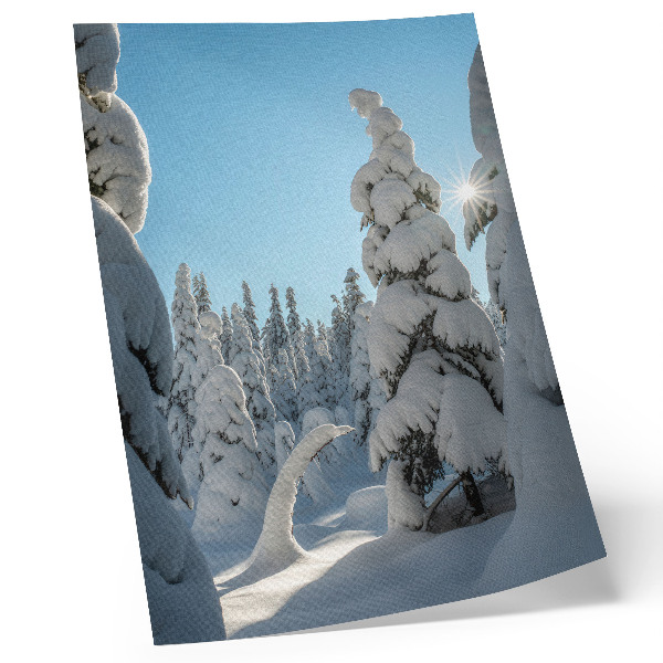 Lámina artística de alta calidad Árboles cubiertos de nieve, cielo azul, sol