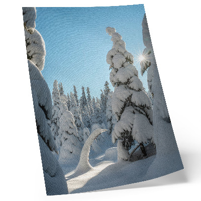 Lámina artística de alta calidad Árboles cubiertos de nieve, cielo azul, sol
