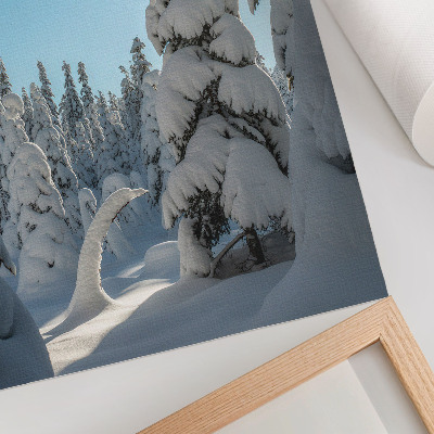 Lámina artística de alta calidad Árboles cubiertos de nieve, cielo azul, sol
