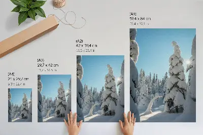 Lámina artística de alta calidad árboles cubiertos de nieve bajo un cielo azul con sol
