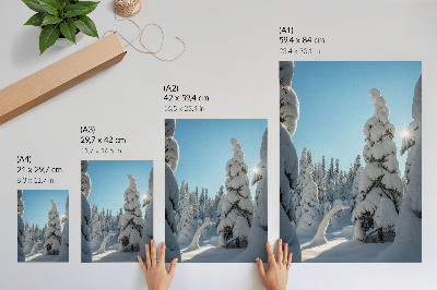 Lámina artística de alta calidad Árboles cubiertos de nieve, cielo azul, sol