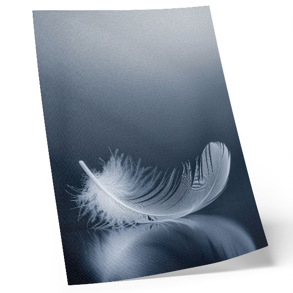 Póster Pluma blanca sobre fondo gris, paz y armonía.
