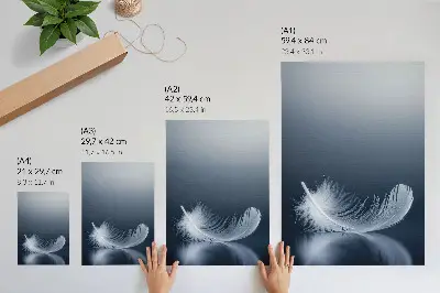 Póster pluma blanca sobre fondo gris con mensaje de paz y armonía