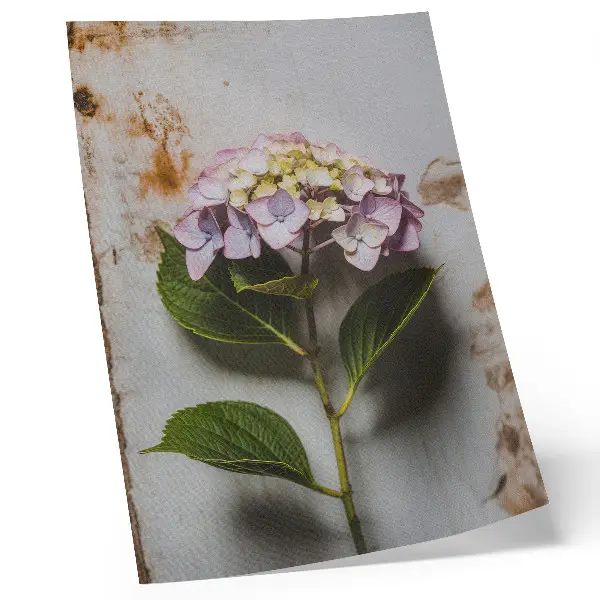 Lienzo decorativo moderno con hortensias rosas y hojas verdes sobre fondo rústico