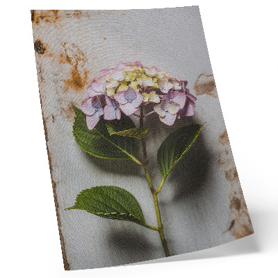 Lienzo decorativo moderno Hortensias rosas, hojas verdes, fondo rústico
