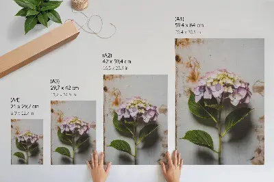 Lienzo decorativo moderno con hortensias rosas y hojas verdes sobre fondo rústico
